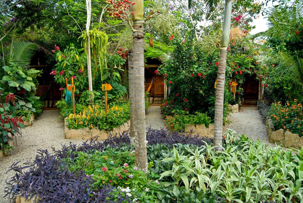 Hosteria Mandala ปูแอร์โตโลเปซ ภายนอก รูปภาพ
