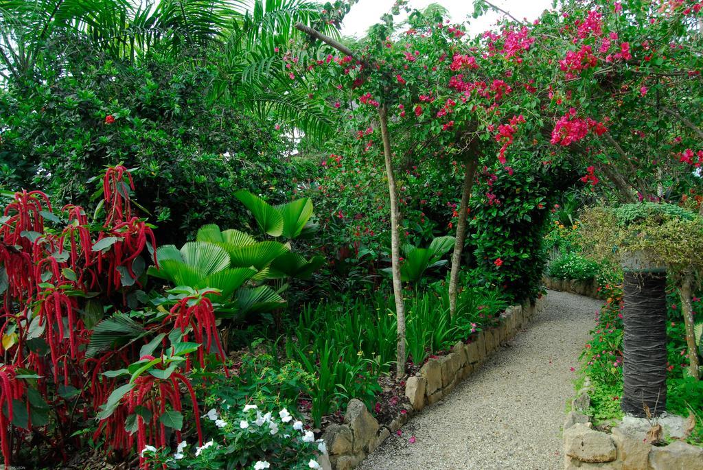 Hosteria Mandala ปูแอร์โตโลเปซ ภายนอก รูปภาพ
