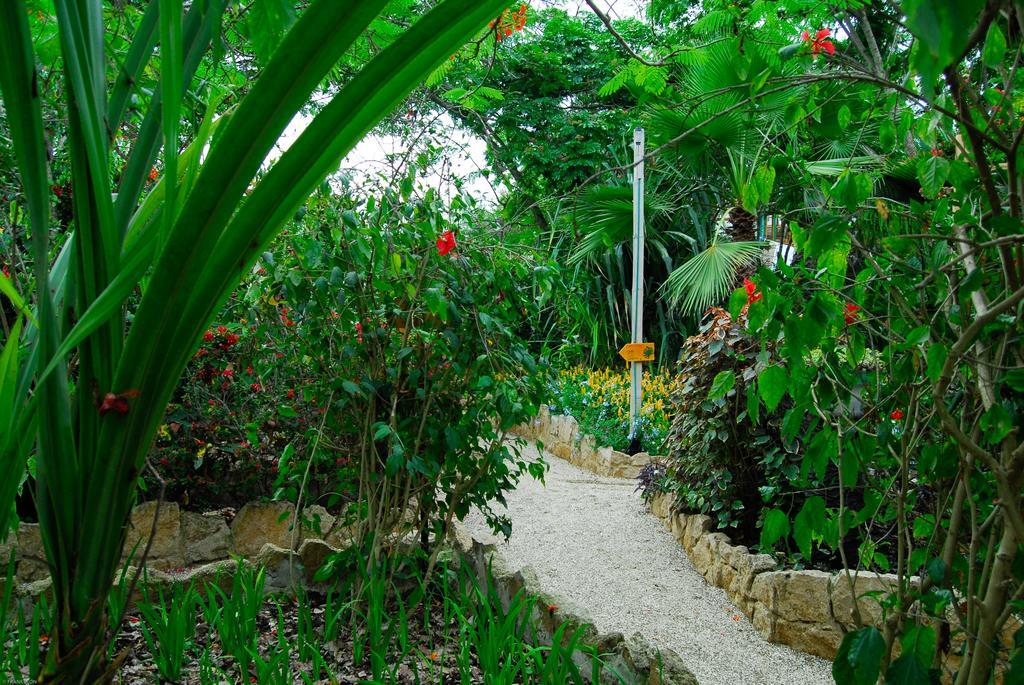 Hosteria Mandala ปูแอร์โตโลเปซ ภายนอก รูปภาพ
