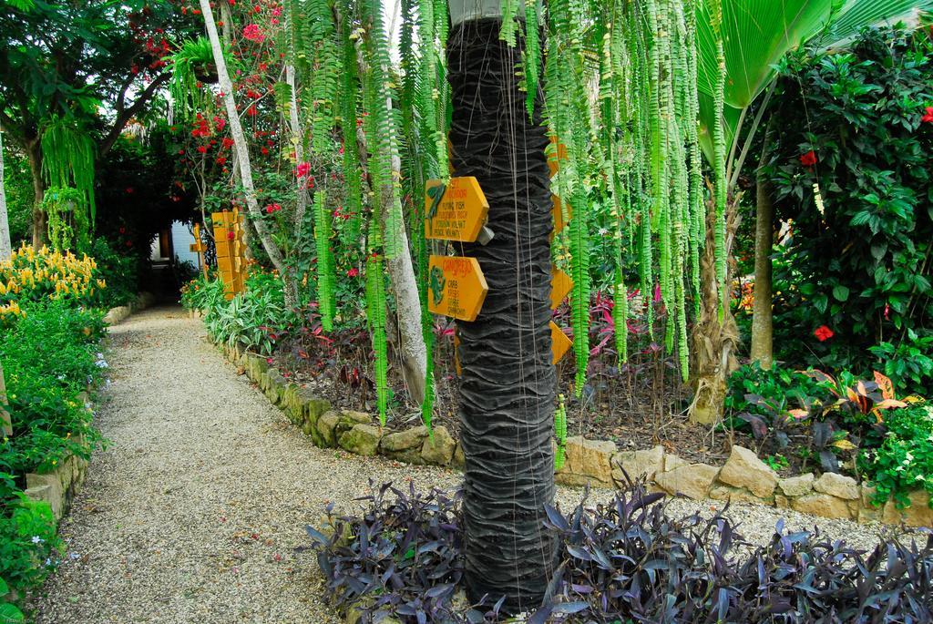 Hosteria Mandala ปูแอร์โตโลเปซ ภายนอก รูปภาพ